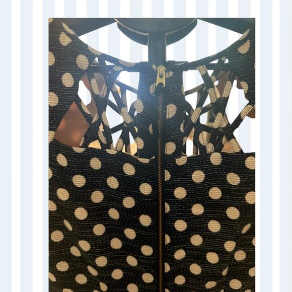 Anthropologie Maeve Black Cream Pok-a-dot Fit and Flare Dress. 4 - Picture 6 of 12